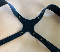 Shoulder Holster