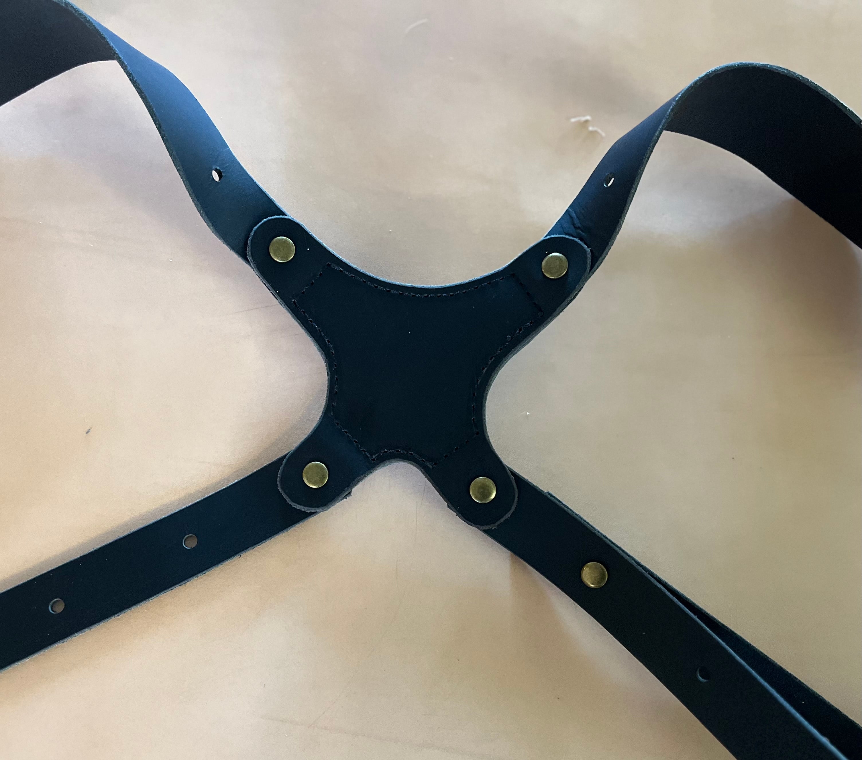 Shoulder Holster